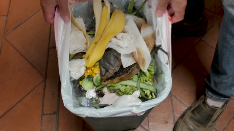 Best Property Management Cleanouts  in Great Falls Crossing, VA
